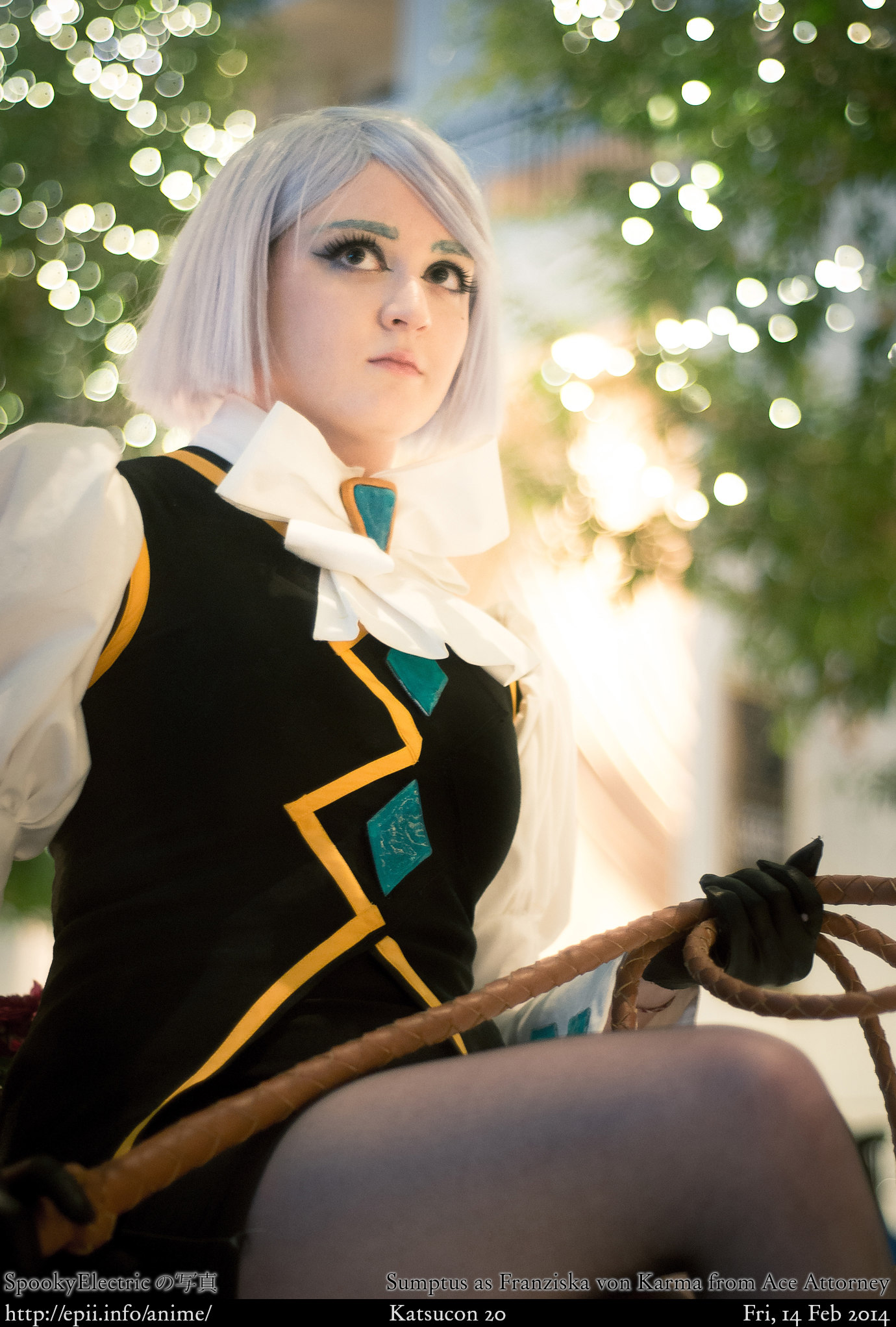 Ace Attorney Franziska von Karma 7573 eπi.info
